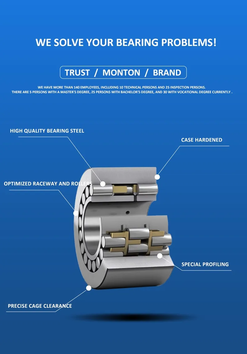 NN Series Bearing Detail 4