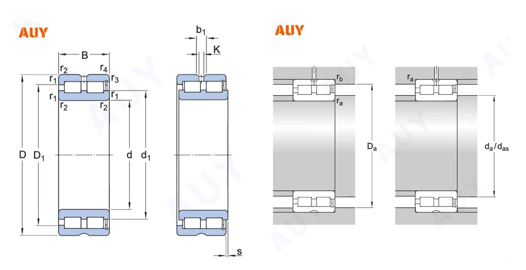 Double Row Bearing Diagram