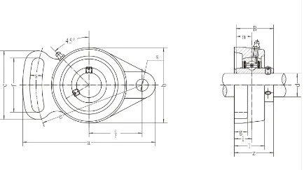 Adjustable Two-Bolt Flange Bearing Unit Parameters