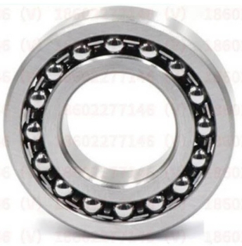 Double Row Self_Aligning Ball Ceramic Bearing 2200 2201 2202 2203 2204 2205 2206 2207 2208 2209 2210