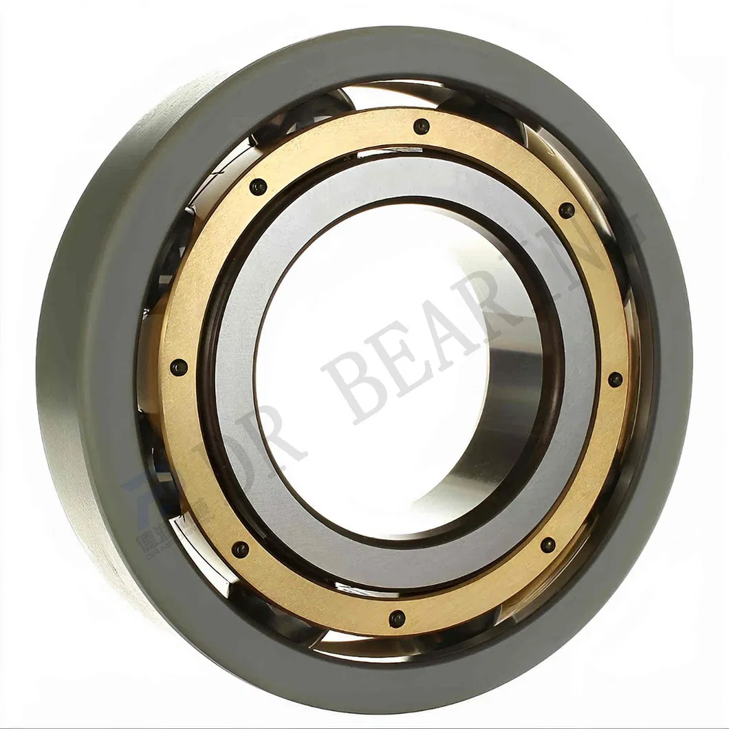 Hybrid Ceramic Bearing