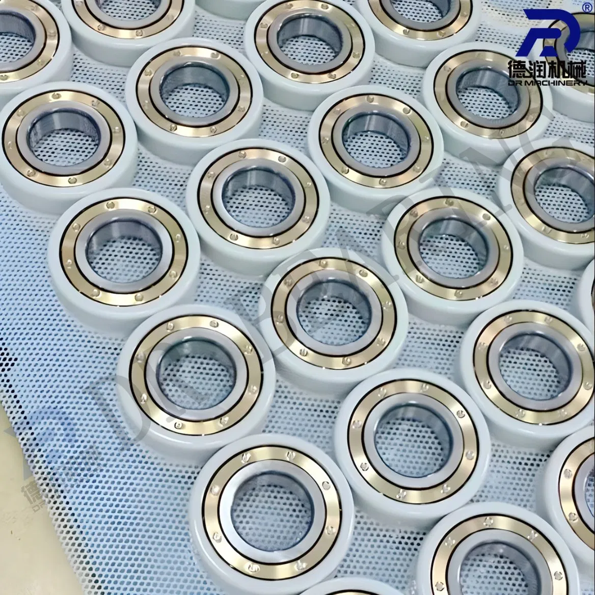 Electrically Insulated/Insocoat Ceramic-Coated Isolation Bearings 6219m/C3 6319m/C3 6320m/C3 6222m/C3 6322m/C3 Vl0271