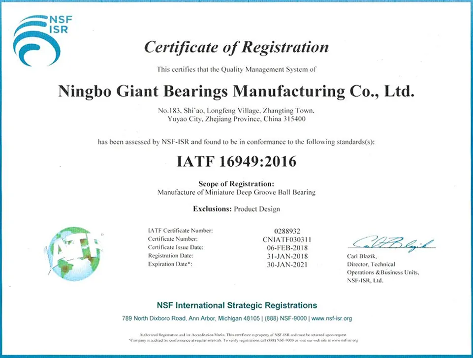 Self-Aligning Ball Bearing 1208 Detail