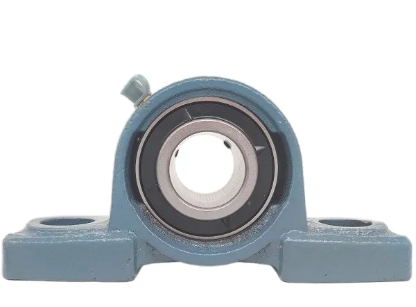 Pillow Block Bearing 2