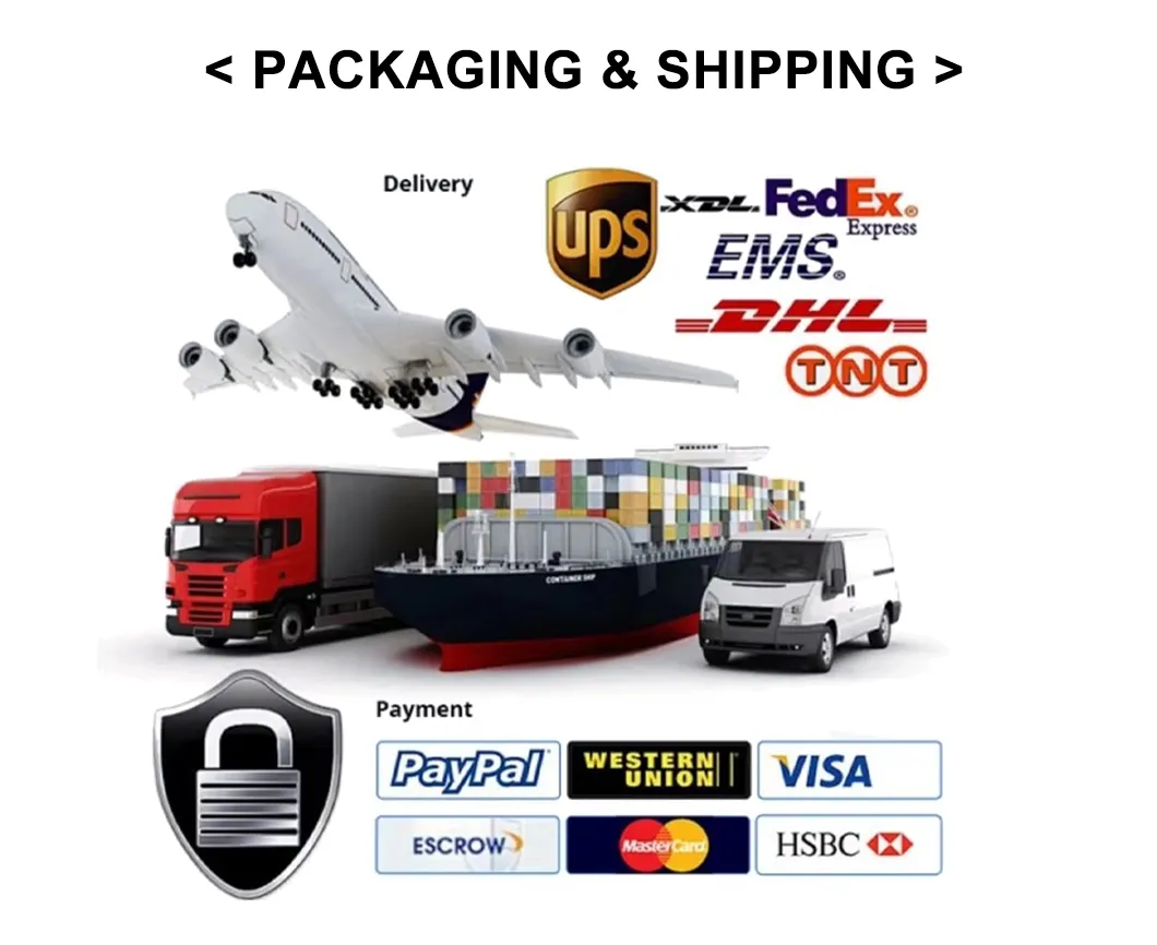 Shipping Logistics