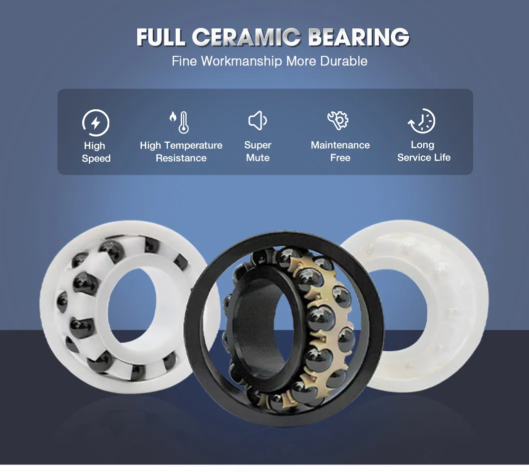 Full Ceramic Ball Bearings