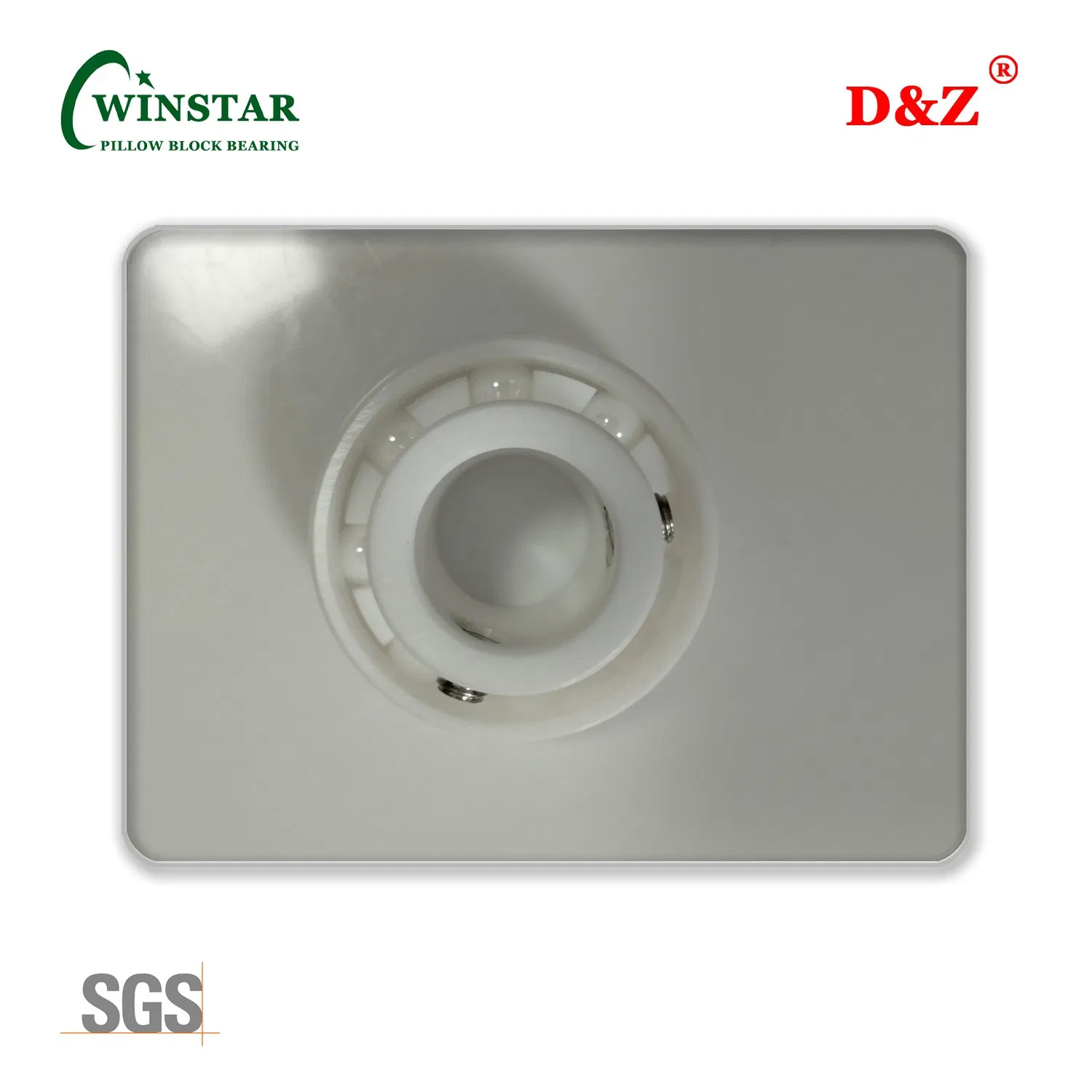 Tp-Suc206 Food Grade Thermoplastic 4-Bolt Flanged Mounted Bearing Unit