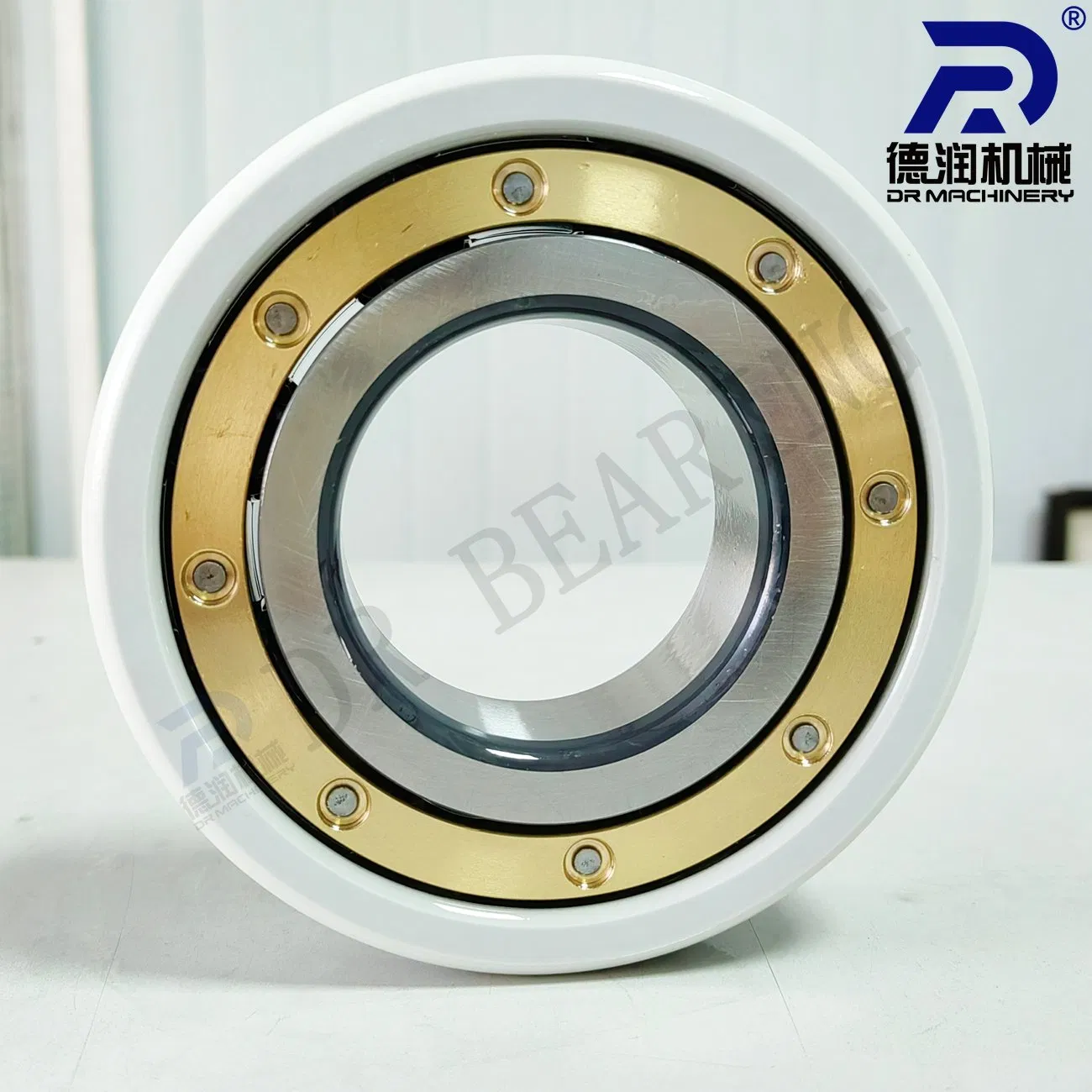 Electrically Insulated/Insocoat Ceramic-Coated Isolation Bearings 6219m/C3 6319m/C3 6320m/C3 6222m/C3 6322m/C3 Vl0271