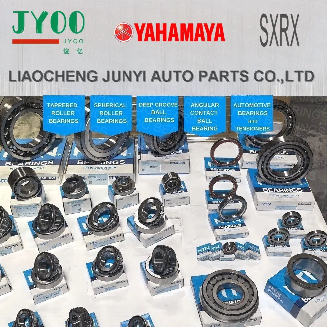 S K F/F a G NSK Koyo NTN Timken NACHI IKO IBC Kbc Gmb Self-Aligning/Deep Groove Ball/Cylindrical/Spherical Roller/ Pillow Block/Linear/Needle Bearing