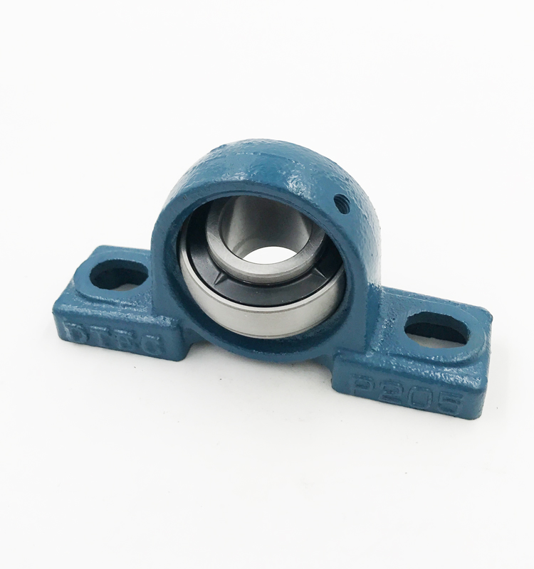 SKF FAG NSK NTN Asahi NACHI Dodge Pillow Block Bearing /Mounted Bearing Units/Insert Bearing/Bearing Units/Qt450/UCP205