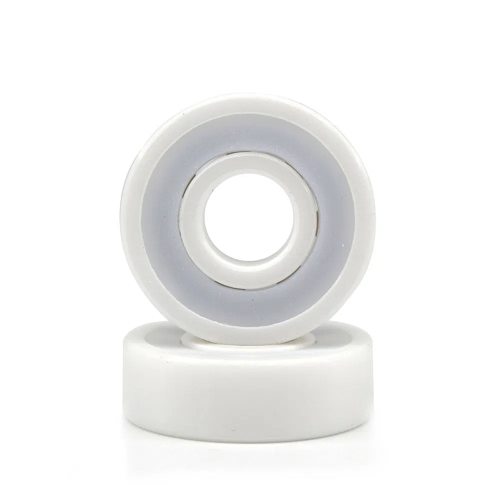 Ceramic Bearing Detail 2