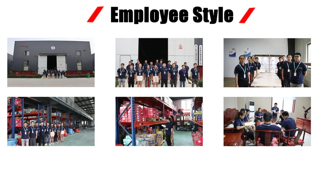 Bearing Performance Illustration