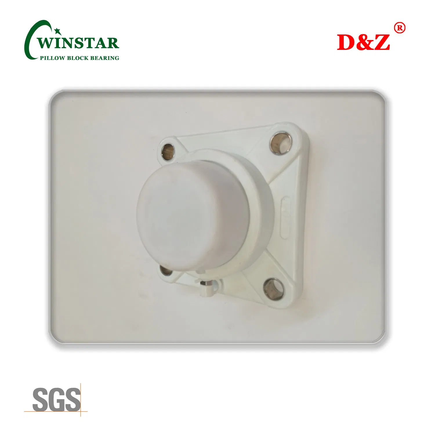 Tp-Suc206 Food Grade Thermoplastic 4-Bolt Flanged Mounted Bearing Unit