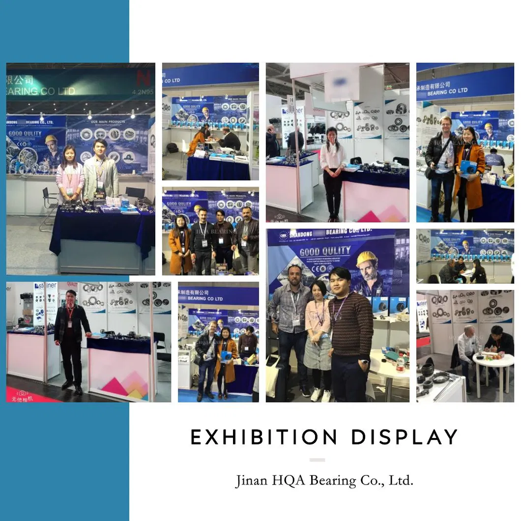 Bearing Internal Detail