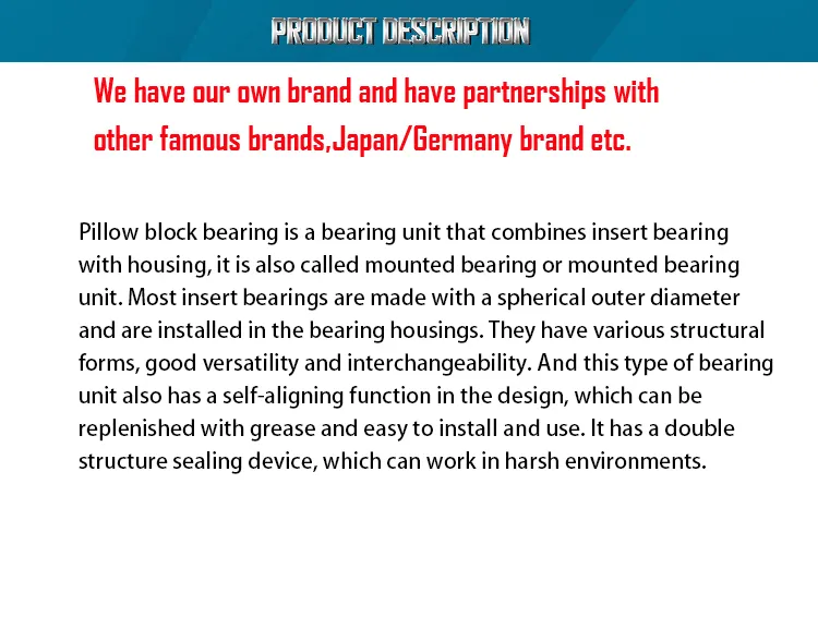 Pillow Block Bearing detail 1