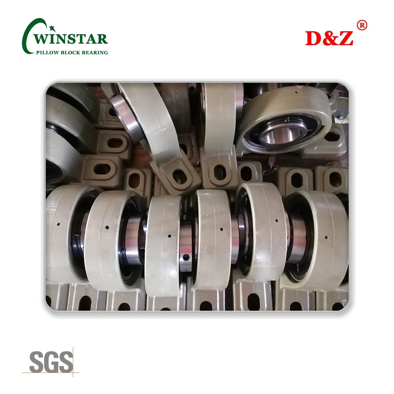 Sblf&Salf 200 Sereis 2-Bolt Flange Ball Bearing Unit Eccentric Collar Locking