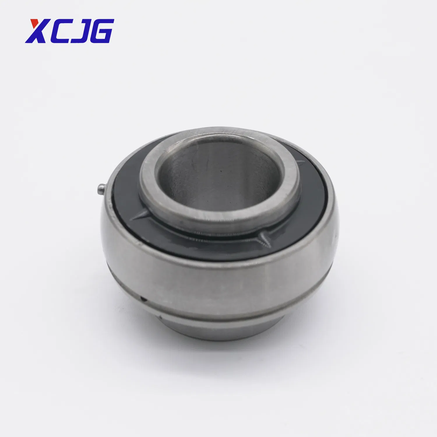 Wholesale of High-Precision and High-Quality Stainless Steel UCP309 Pillow Block Bearing From Chinese Factories