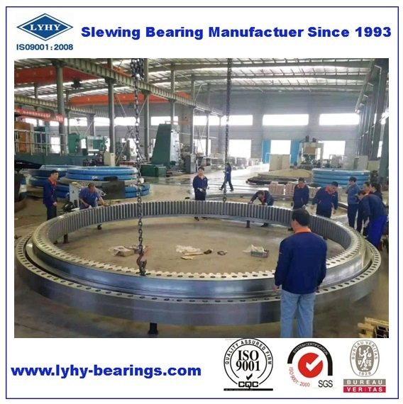 Slewing Ring Bearing Customized with Internal Gear (013.60.2240) Slewing Bearing Single Row Ball Swing Bearing