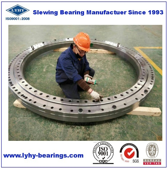 Slewing Ring Bearing Customized with Internal Gear (013.60.2240) Slewing Bearing Single Row Ball Swing Bearing