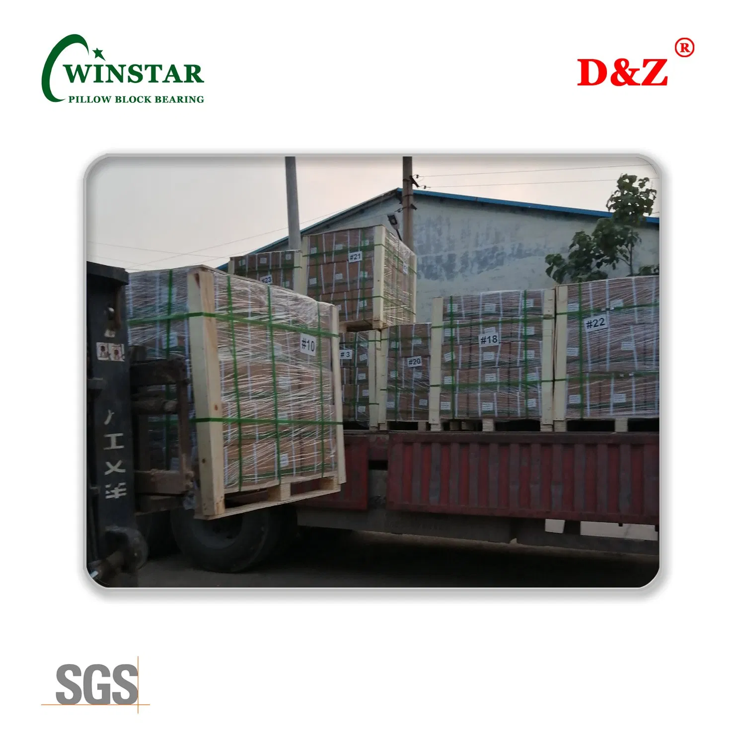 Adjustable Two-Bolt Flange Bearing Unit Ucfa200 Series Ucfa205 Ucfa205-16