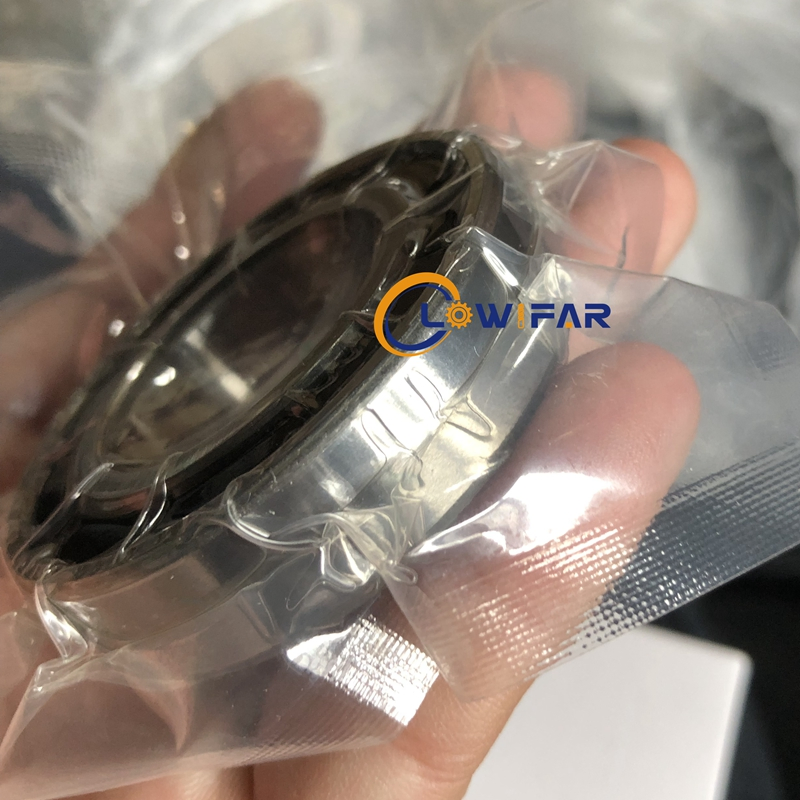 Hybrid Ceramic Bearings with Si3n4 Balls for Precision and Long Service Life