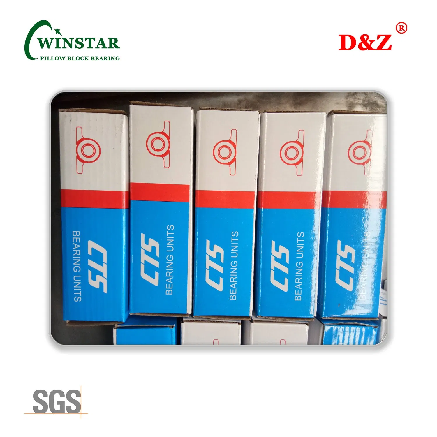 Ssucfc 209 High Precision Stainless Steel Pillow Block Bearing Unit for Smooth Motion/UCFL200 Bearings/Pillow Block Mounted Ball Bearing/UC205 Insert Berings