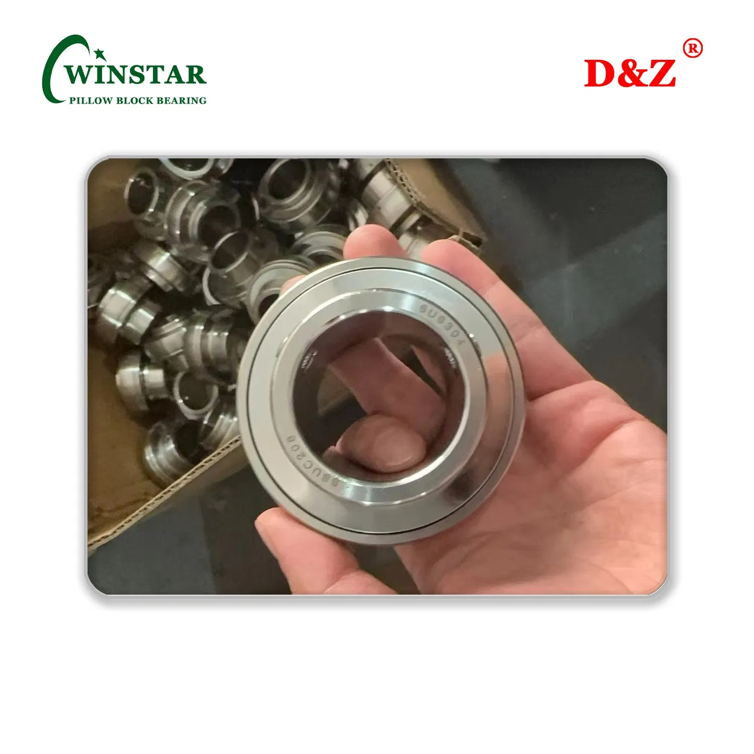 Mounted Ball Bearing Units in Stainless Steel Ucfss Series Sucp Type