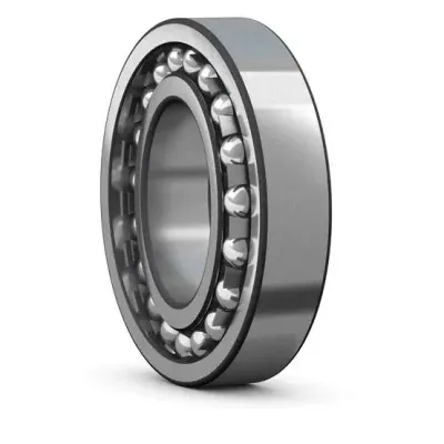 Double Row Self-aligning Ball Bearing 2