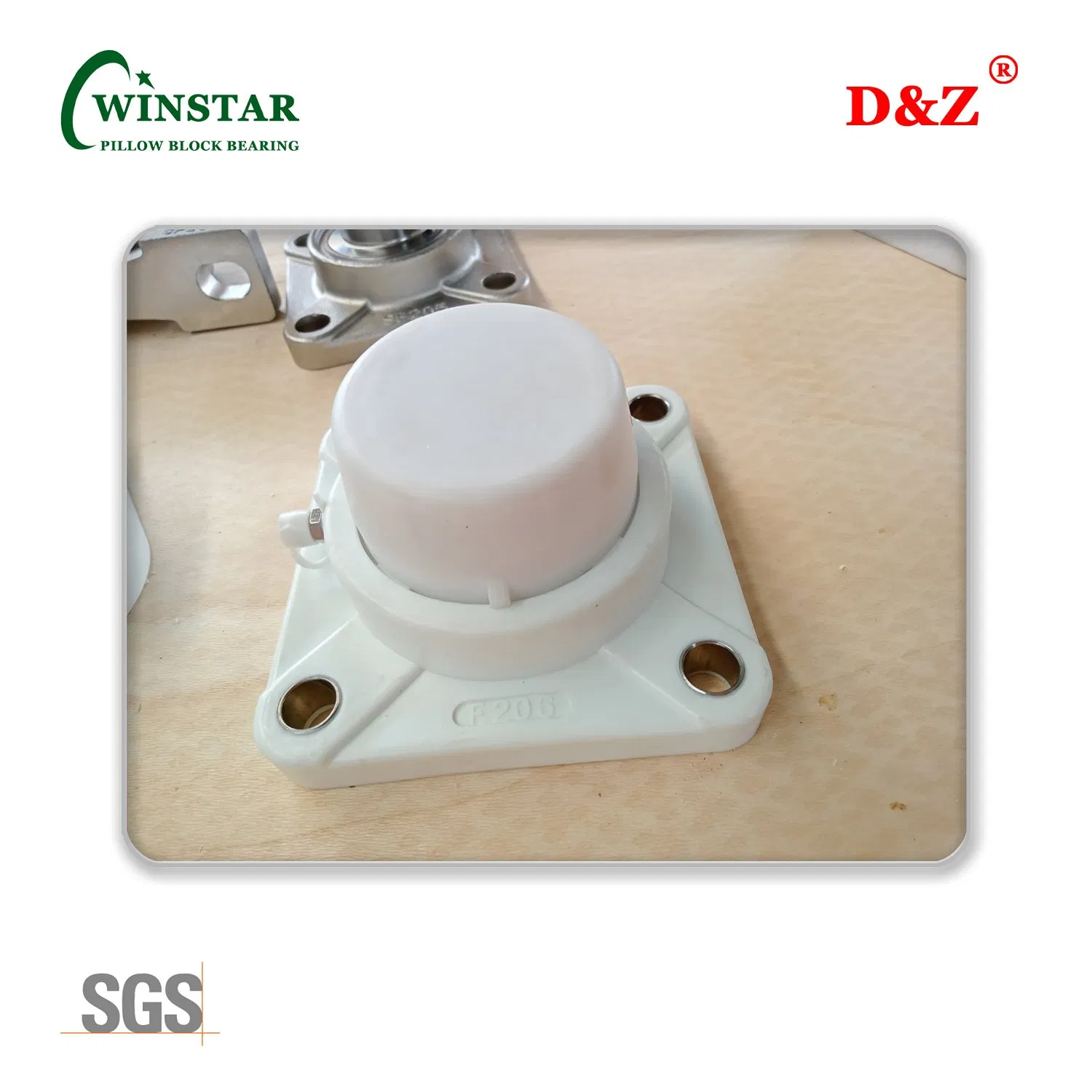 Tp-Suc206 Food Grade Thermoplastic 4-Bolt Flanged Mounted Bearing Unit