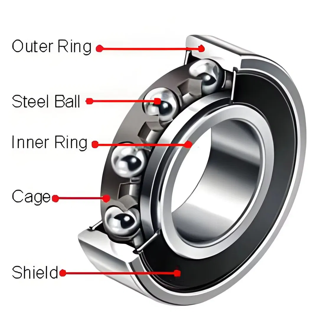 Deep Groove Ball Bearing 3