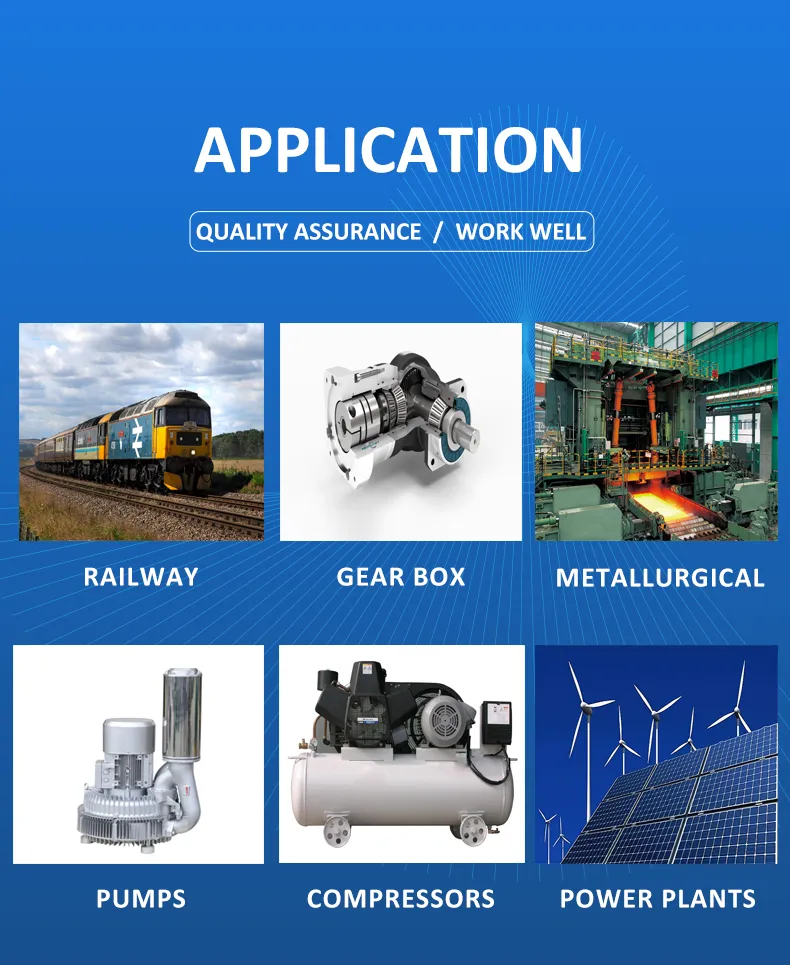 NN Series Bearing Detail 5