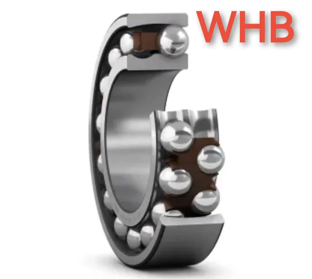Self-Aligning Ball Bearing / Aktn / K/ M Cages Whb Factory/ Wholesale Price 1305, Whb/ China Bearing. 1204 1205 2204 2205 2305