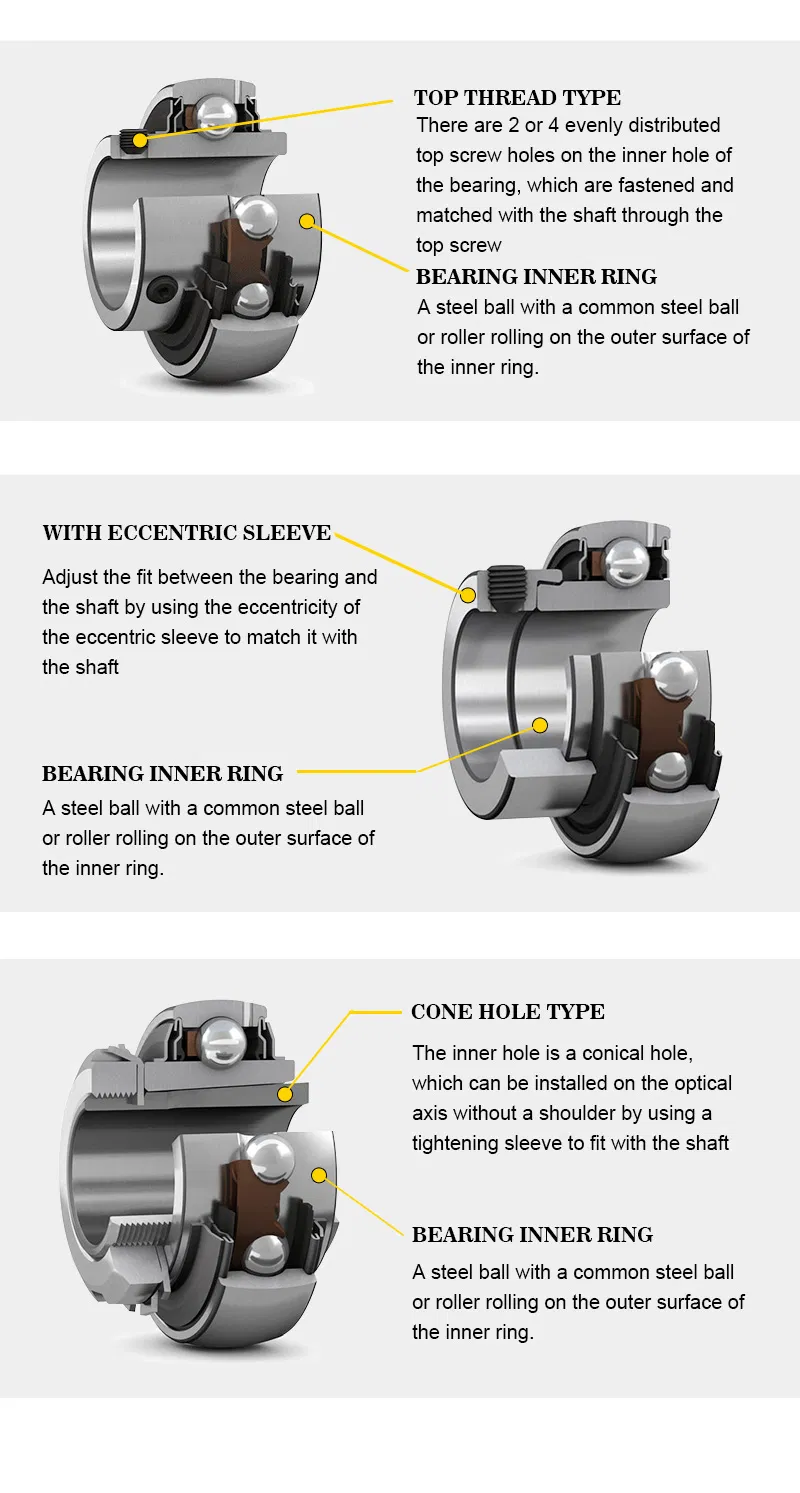 Pillow Block Bearing Detailed