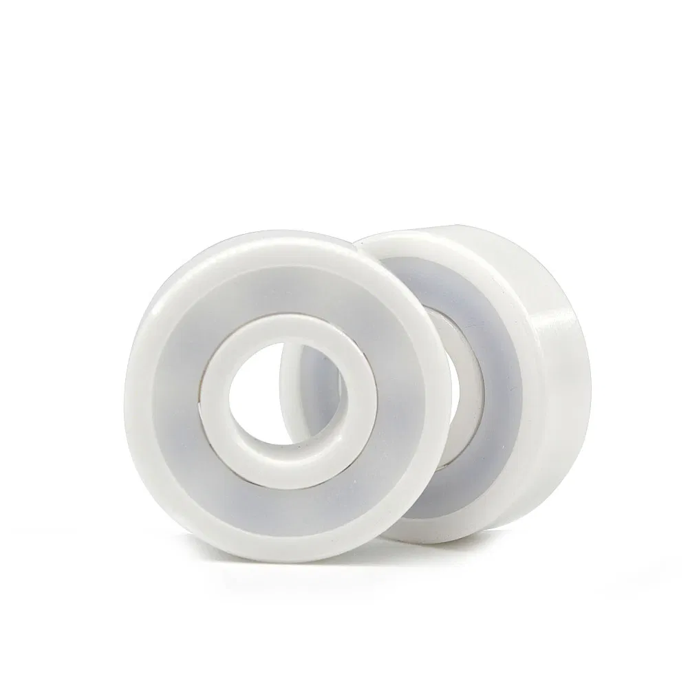 Ceramic Bearing Detail 1