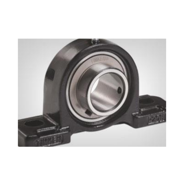 High Grade Cast Iron UCP205-16 Sb Pillow Block Mounted Bearing Units 2 Bolt Pillow Block Units