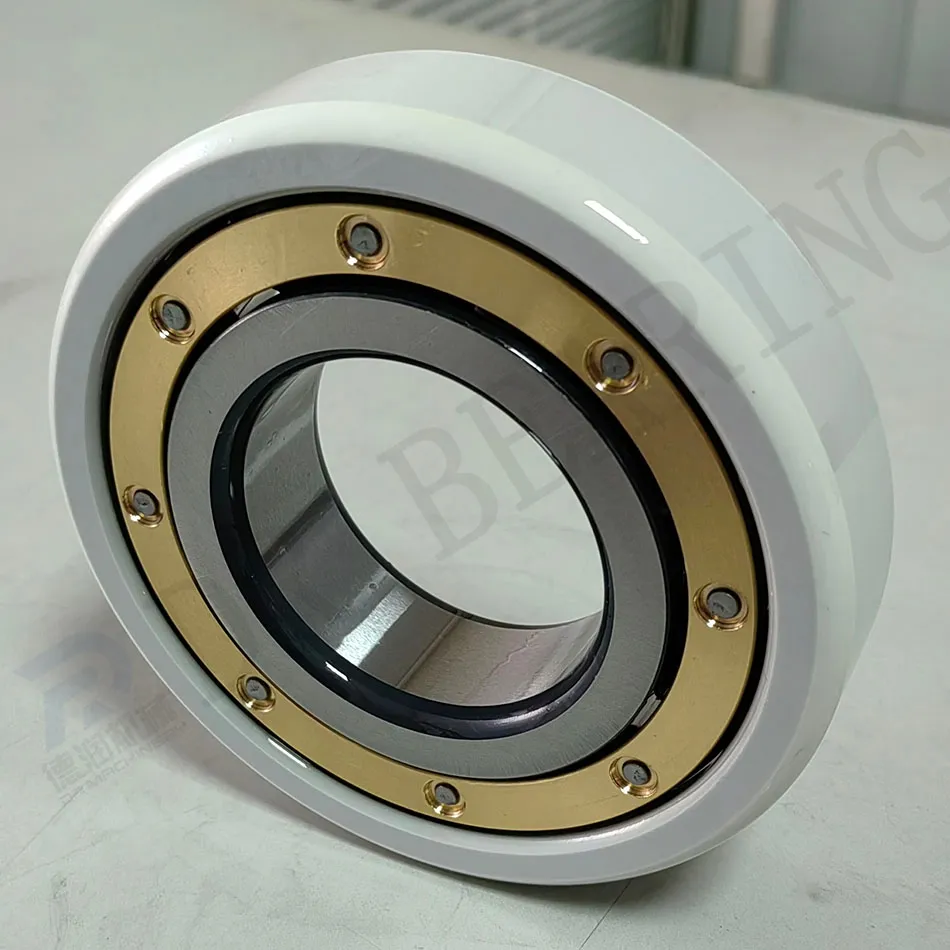 Insulated Bearing View 2