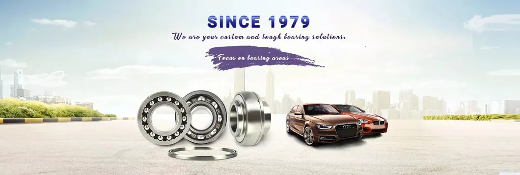 Plastic Deep Groove Ball Bearing