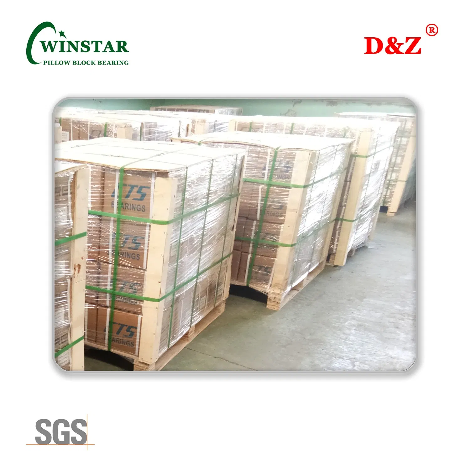 Ssucfc 209 High Precision Stainless Steel Pillow Block Bearing Unit for Smooth Motion/UCFL200 Bearings/Pillow Block Mounted Ball Bearing/UC205 Insert Berings