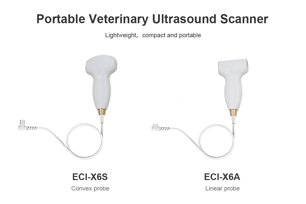 Veterinary Ultrasound Probe Detail