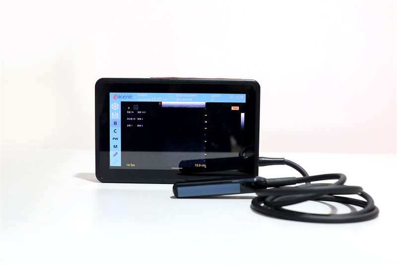 Veterinary Ultrasound Detail 3