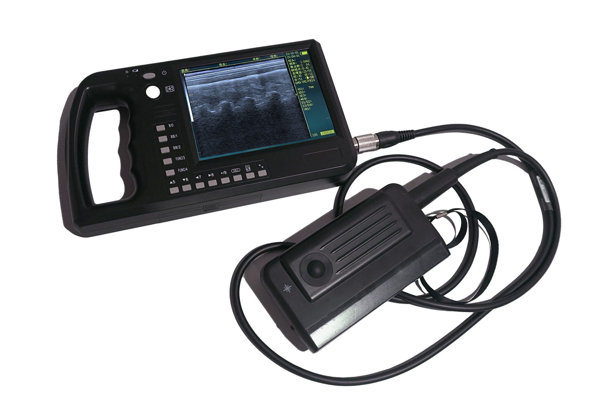 Veterinary ultrasound detail 1