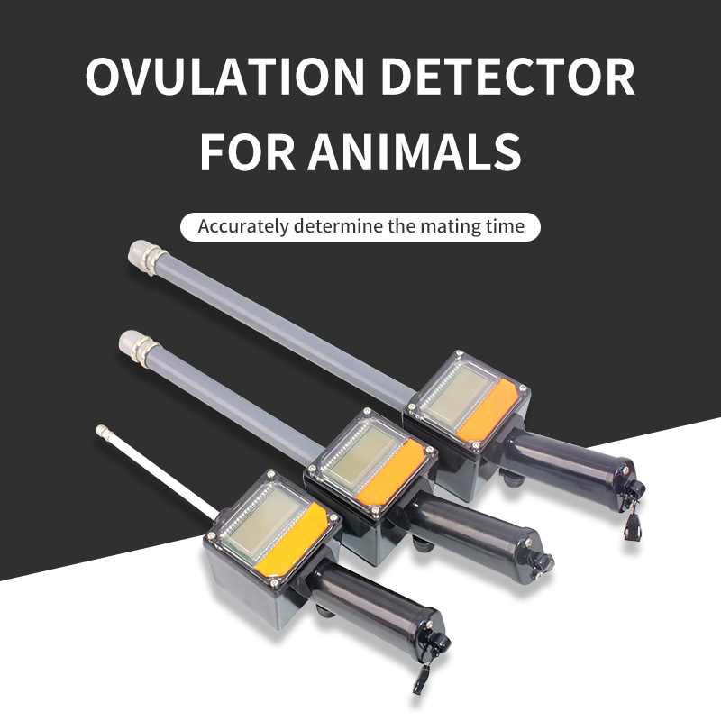 Veterinary ovulation detector detail 2