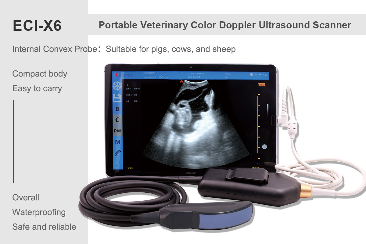 X6 Ultrasound Image