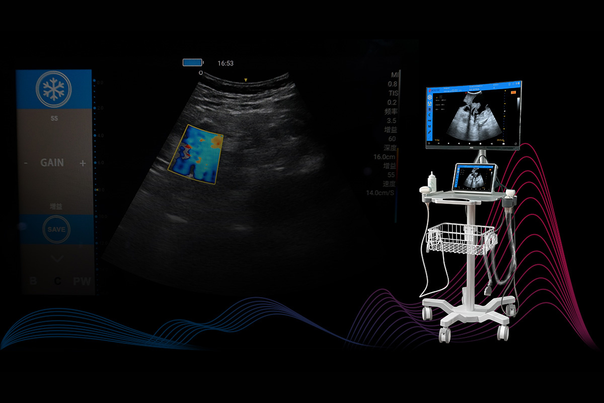 Veterinary Ultrasound Detail 2