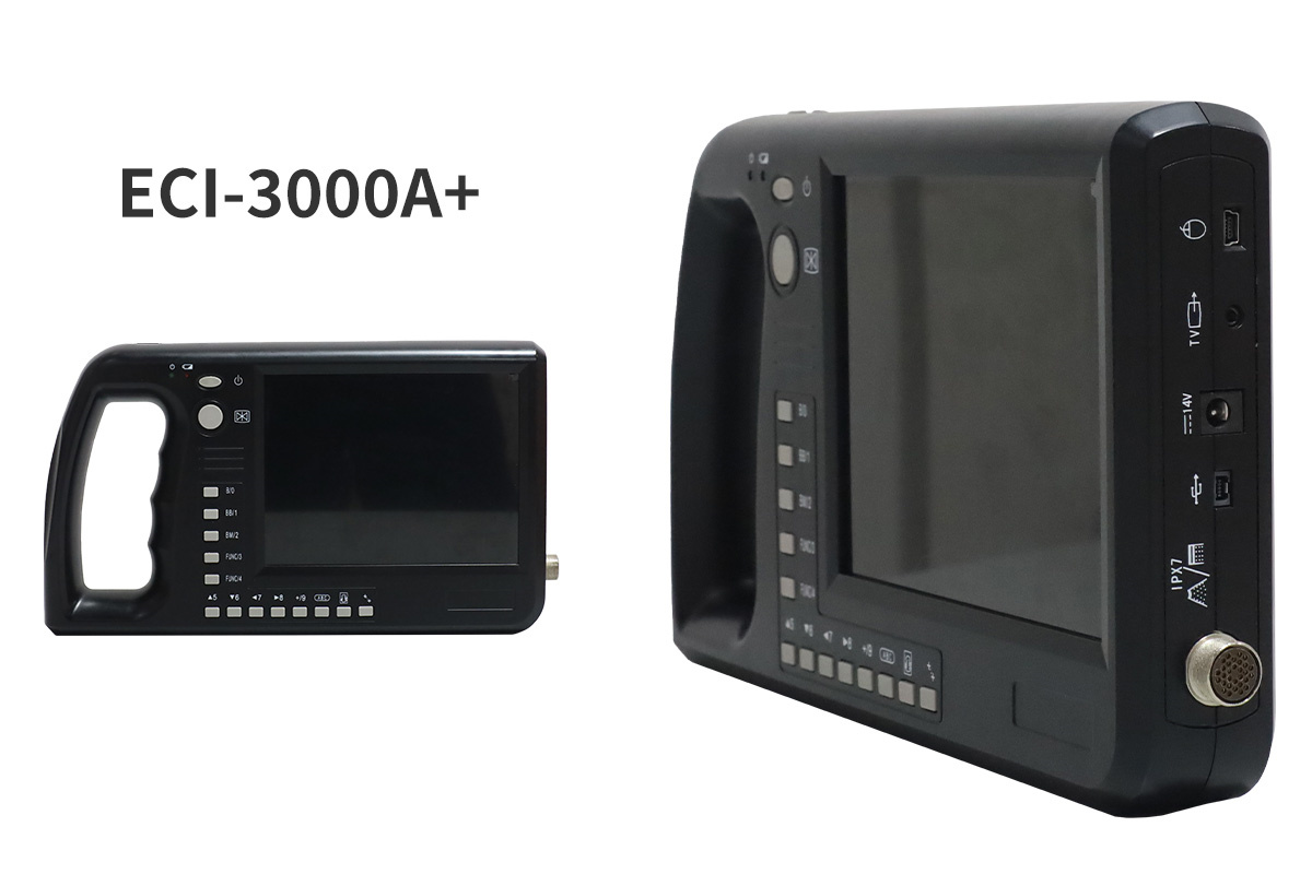Technical view 3
