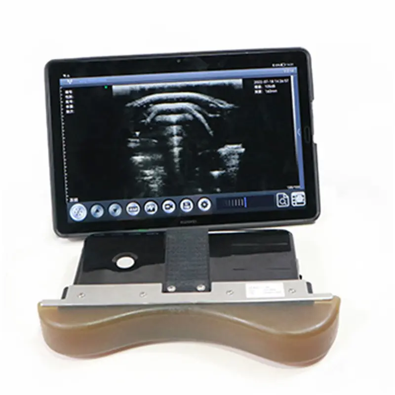 Wholesale ECI-E128 Wireless Loin Eye Muscle Area Measuring Instrument Manufacturer, Manufacturers