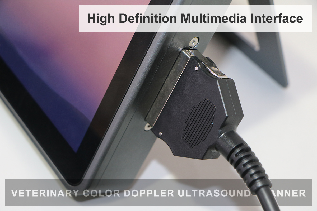 Ultrasound Imaging Functions