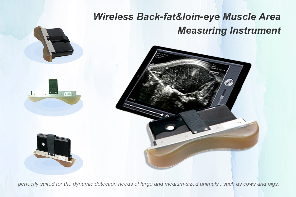 Wireless Loin Eye Muscle Measuring Instrument