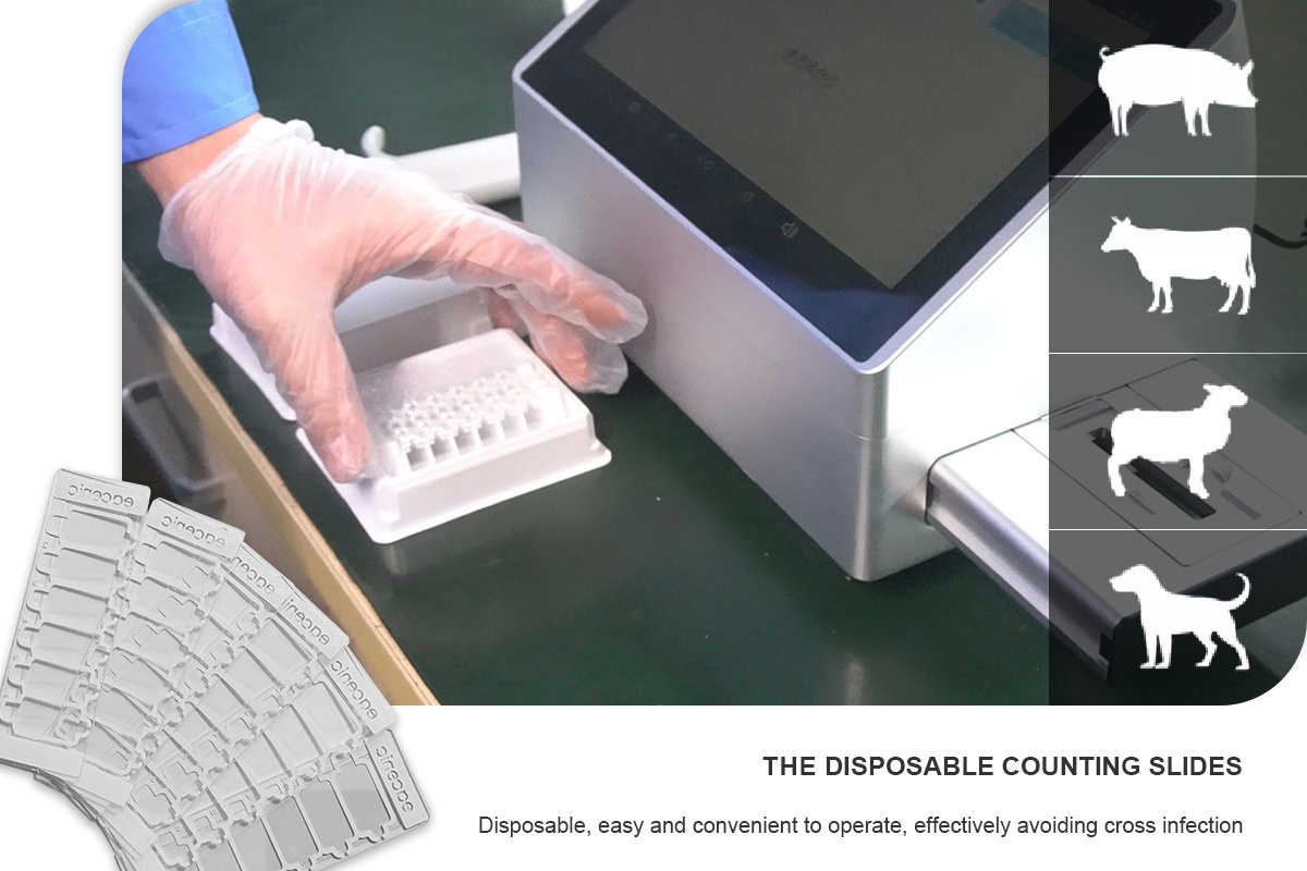 ECI-J6310 Disposable Counting Slide 01