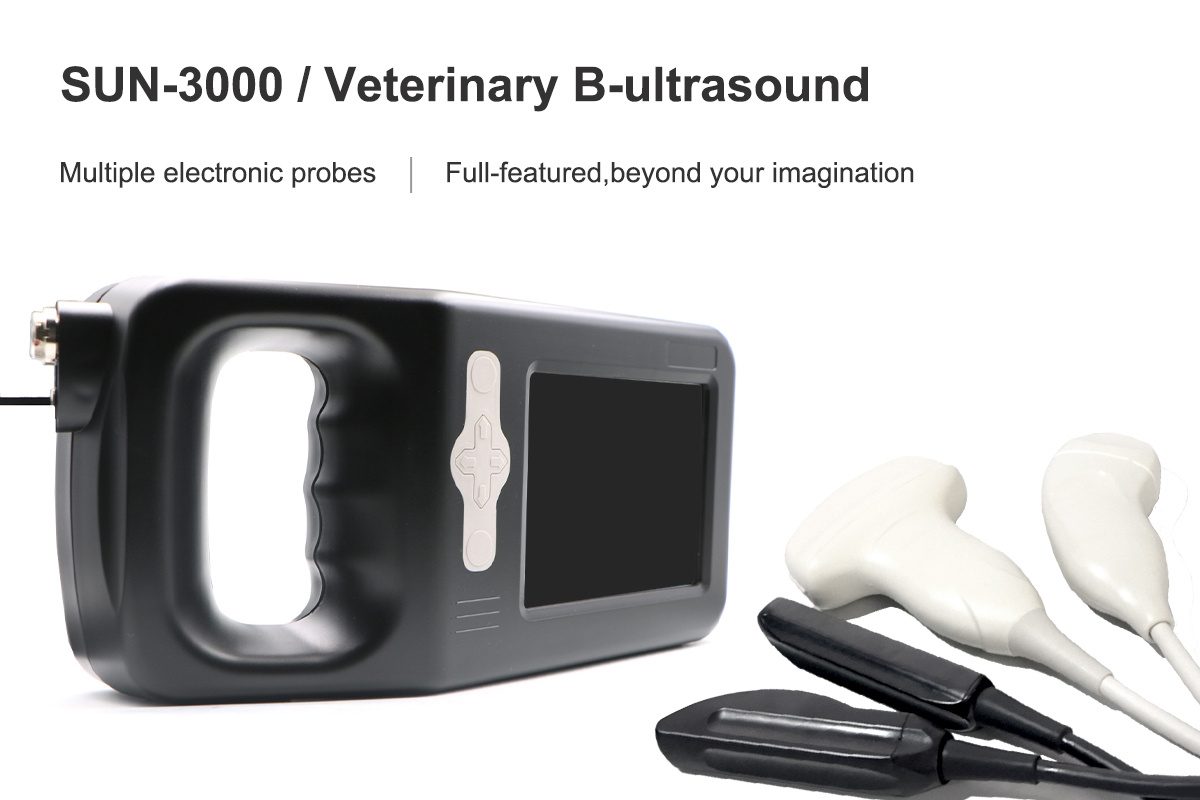 Ultrasonic Diagnostic Probe Detail